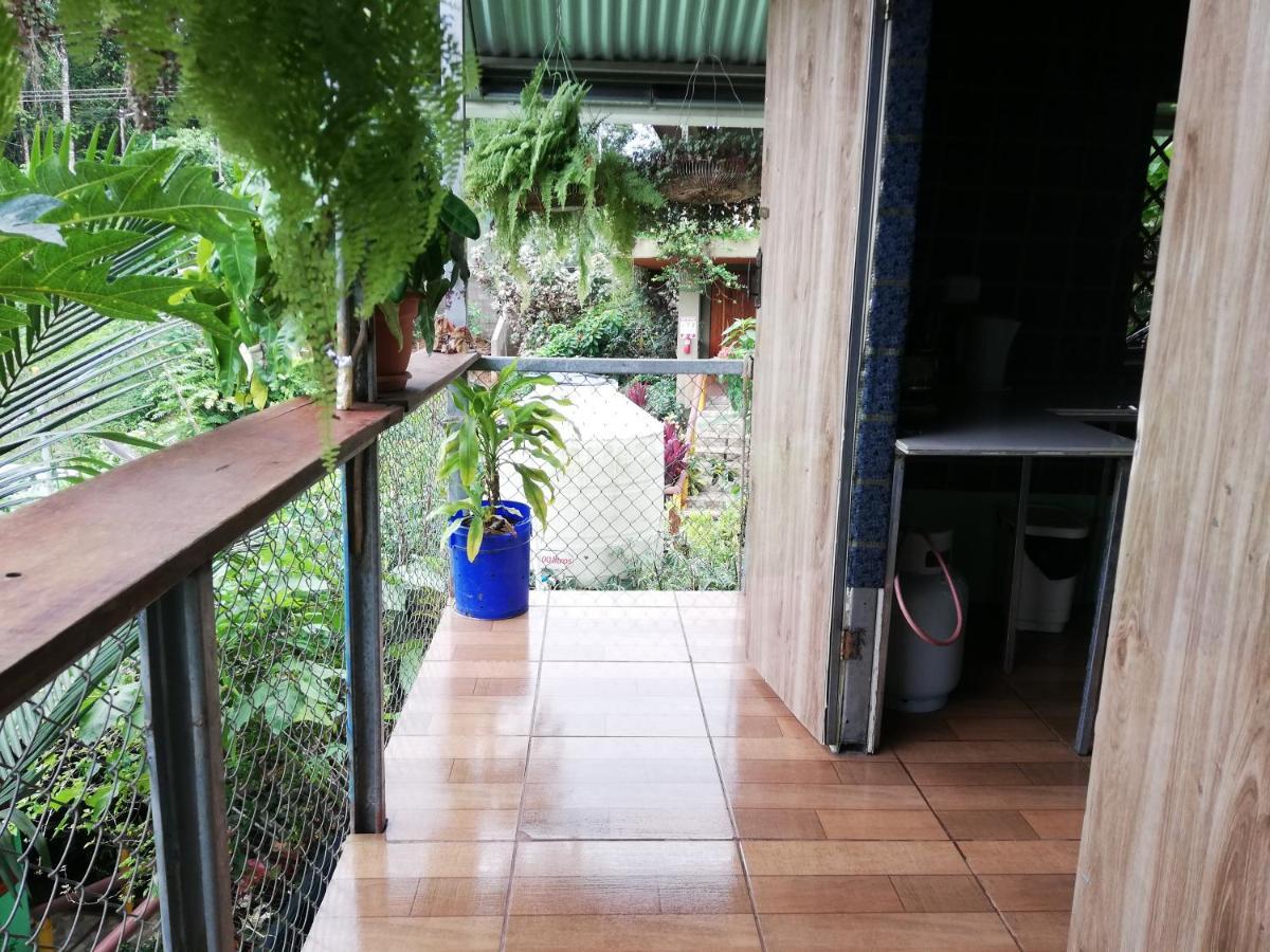 Casita Tangara Con Balcon Y Agua Caliente Διαμέρισμα Drakes Bay Δωμάτιο φωτογραφία