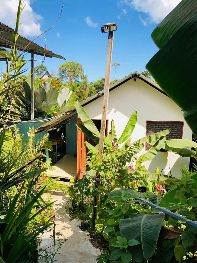Casita Tangara Con Balcon Y Agua Caliente Διαμέρισμα Drakes Bay Εξωτερικό φωτογραφία