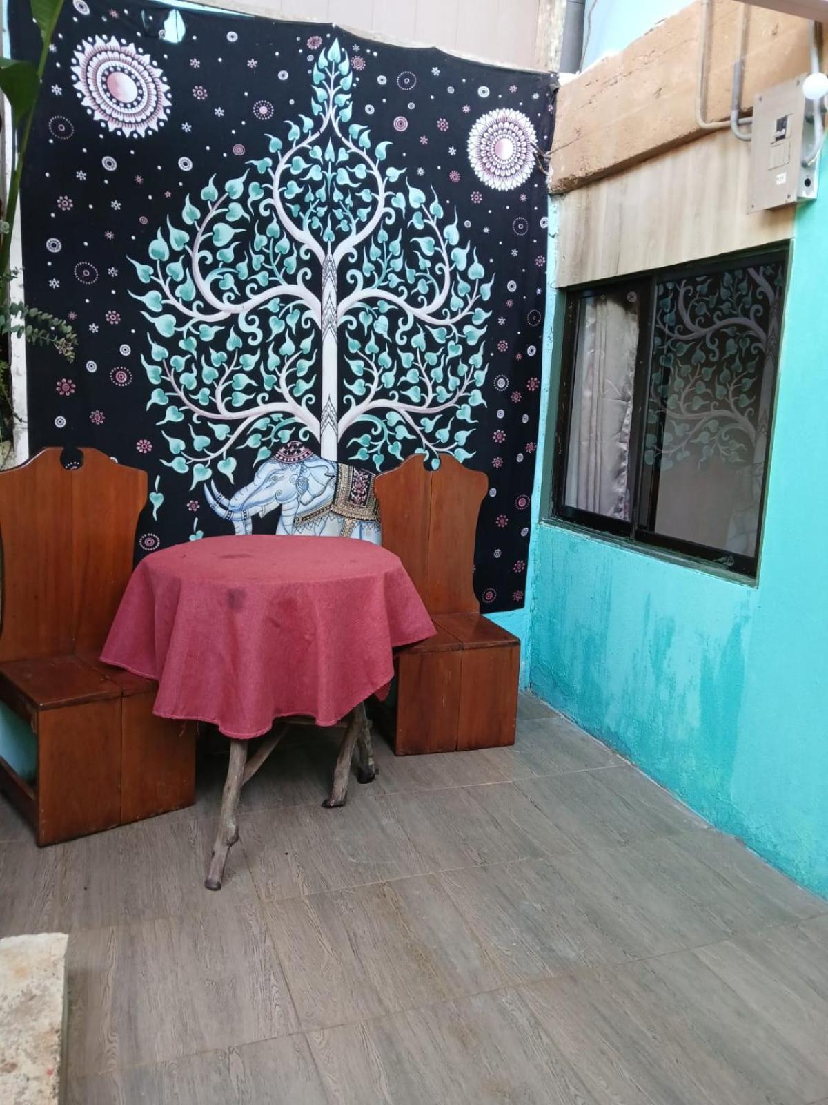 Casita Tangara Con Balcon Y Agua Caliente Διαμέρισμα Drakes Bay Εξωτερικό φωτογραφία